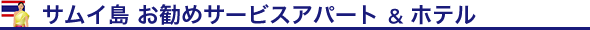 ^CERTC߃T[rXAp[gEize